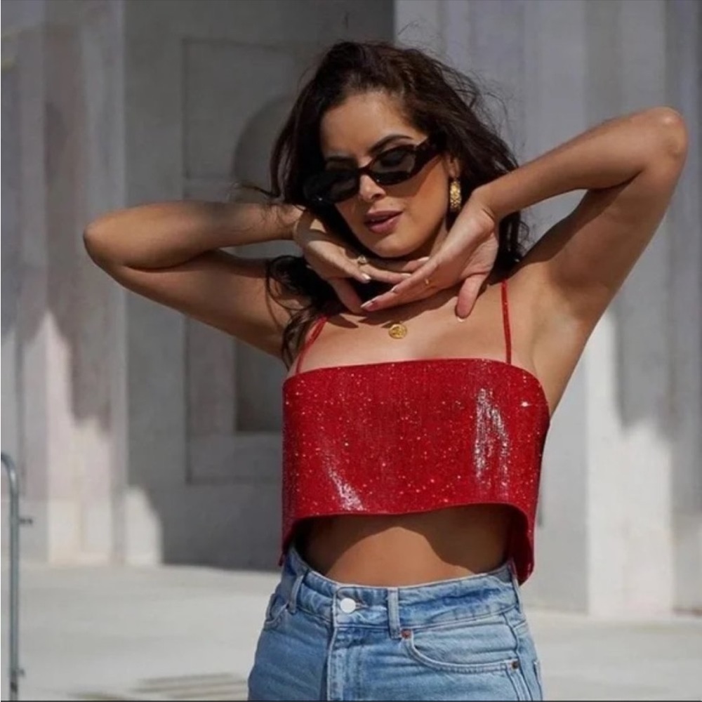 NWT Zara Rhinestone Crop Top